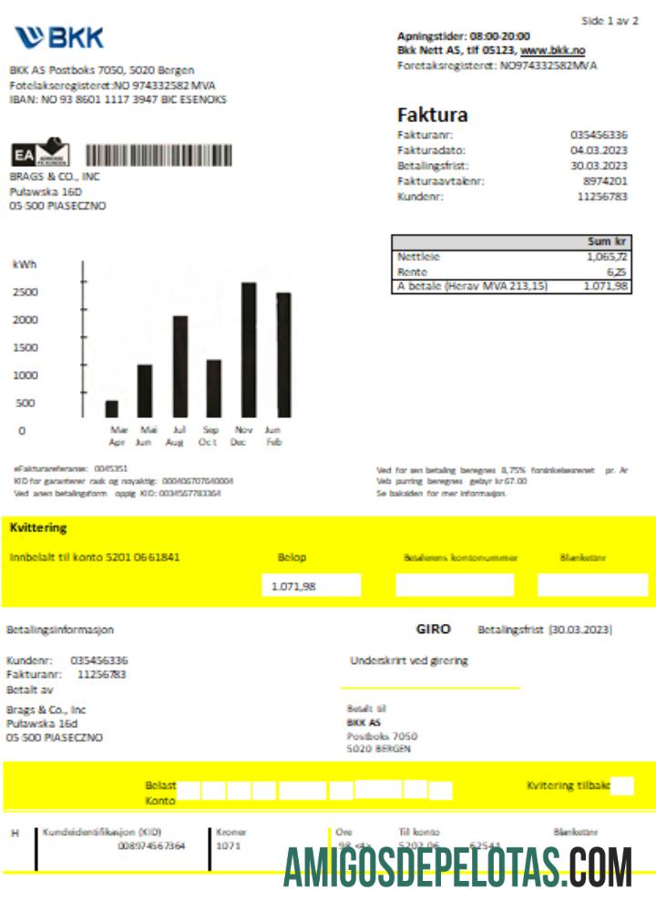Projeto de lei de serviços públicos de eletricidade BKK SCR exemplo